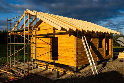 karhunpesa sauna katto 53