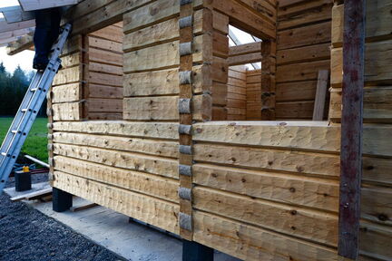 karhunpesa sauna katto 56