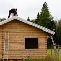 karhunpesa sauna kattopellit 23
